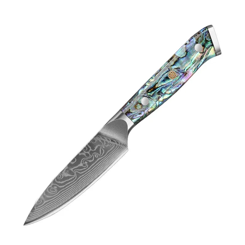 Damascus steel kitchen knife with a vibrant abalone handle on white background