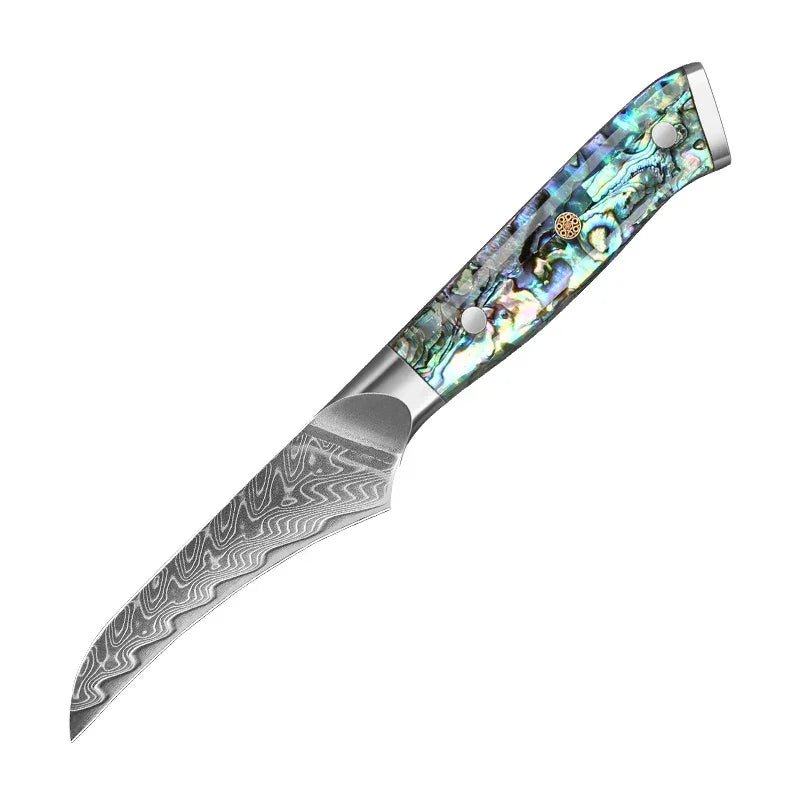 Damascus steel kitchen knife with abalone handle on white background